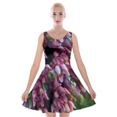 Milkweed Velvet Skater Dress by okhismakingart