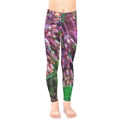 Milkweed Kids  Legging by okhismakingart