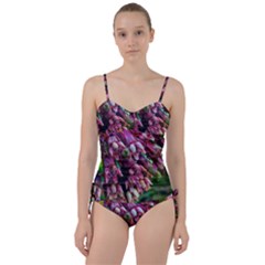 Milkweed Sweetheart Tankini Set by okhismakingart