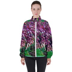 Milkweed Women s High Neck Windbreaker by okhismakingart