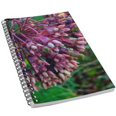 Milkweed 5 5  X 8 5  Notebook by okhismakingart