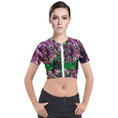 Milkweed Short Sleeve Cropped Jacket