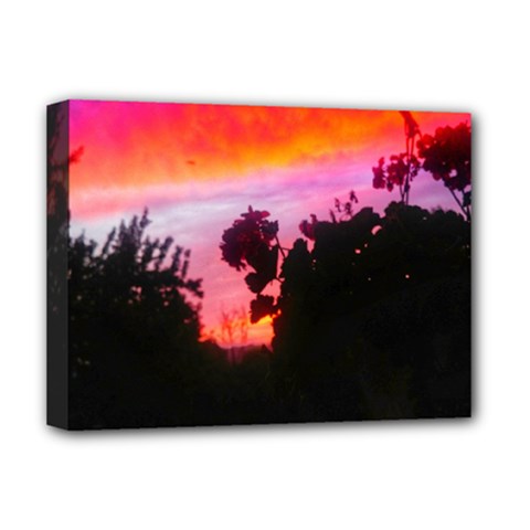 Sunset And Geraniums Deluxe Canvas 16  X 12  (stretched)  by okhismakingart