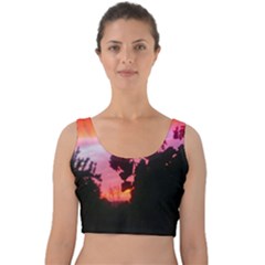 Sunset And Geraniums Velvet Crop Top by okhismakingart