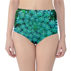 Turquoise Queen Anne s Lace Classic High-waist Bikini Bottoms by okhismakingart