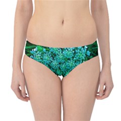 Turquoise Queen Anne s Lace Hipster Bikini Bottoms by okhismakingart