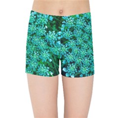 Turquoise Queen Anne s Lace Kids  Sports Shorts by okhismakingart