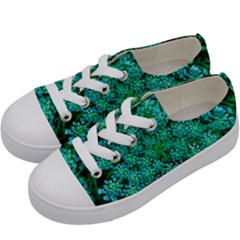 Turquoise Queen Anne s Lace Kids  Low Top Canvas Sneakers by okhismakingart