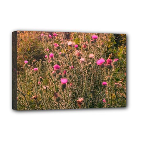 Thistle Field Deluxe Canvas 18  X 12  (stretched) by okhismakingart