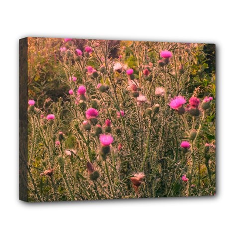 Thistle Field Deluxe Canvas 20  X 16  (stretched) by okhismakingart