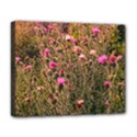 Thistle Field Deluxe Canvas 20  x 16  (Stretched) View1