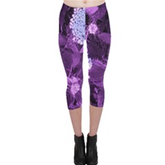 Queen Anne s Lace With Purple Leaves Capri Leggings  by okhismakingart