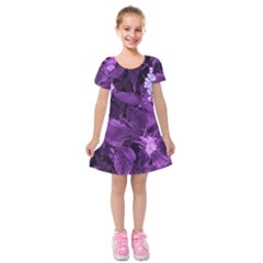 Queen Anne s Lace With Purple Leaves Kids  Short Sleeve Velvet Dress by okhismakingart