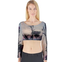 Hazy Thistles Long Sleeve Crop Top by okhismakingart