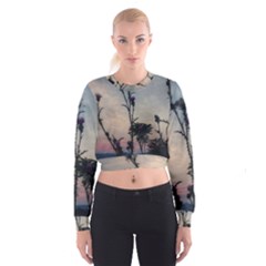 Hazy Thistles Cropped Sweatshirt by okhismakingart