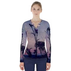 Hazy Thistles V-neck Long Sleeve Top by okhismakingart