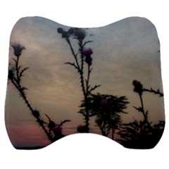 Hazy Thistles Velour Head Support Cushion by okhismakingart