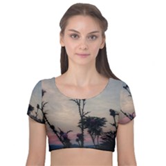 Hazy Thistles Velvet Short Sleeve Crop Top  by okhismakingart