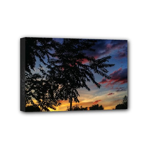 Sumac Sunset Mini Canvas 6  X 4  (stretched) by okhismakingart