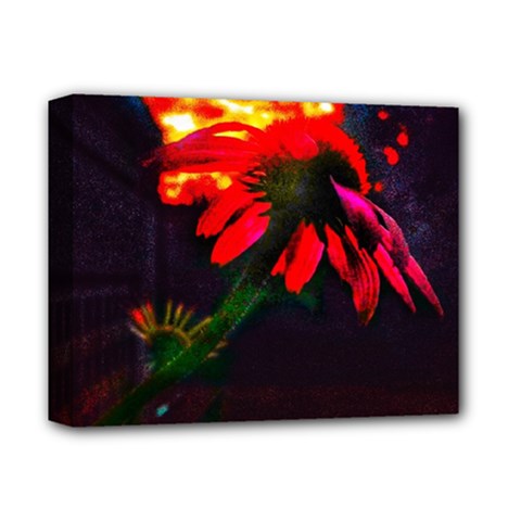 Neon Cone Flower Deluxe Canvas 14  X 11  (stretched) by okhismakingart