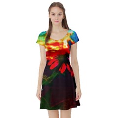 Neon Cone Flower Short Sleeve Skater Dress by okhismakingart