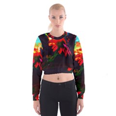 Neon Cone Flower Cropped Sweatshirt by okhismakingart