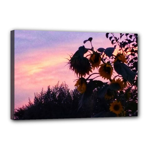 Sunflower Sunset Ii Canvas 18  X 12  (stretched) by okhismakingart