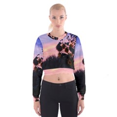 Sunflower Sunset Ii Cropped Sweatshirt by okhismakingart