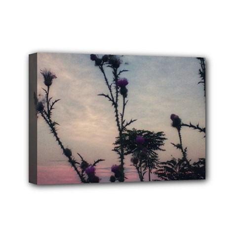 Hazy Thistles Mini Canvas 7  X 5  (stretched) by okhismakingart