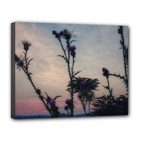 Hazy Thistles Canvas 14  X 11  (stretched) by okhismakingart