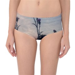 Hazy Thistles Mid-waist Bikini Bottoms by okhismakingart