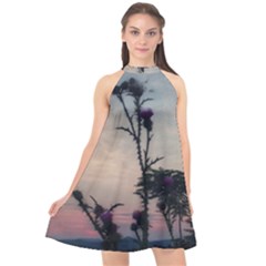 Hazy Thistles Halter Neckline Chiffon Dress  by okhismakingart