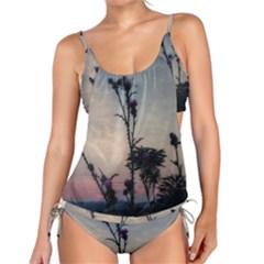 Hazy Thistles Tankini Set by okhismakingart