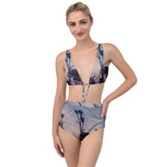 Hazy Thistles Tied Up Two Piece Swimsuit by okhismakingart