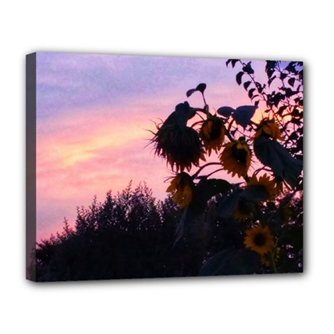 Sunflower Sunset Ii Canvas 14  X 11  (stretched) by okhismakingart