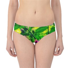 Bur Flowers Hipster Bikini Bottoms by okhismakingart