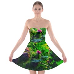 Bur Flowers Strapless Bra Top Dress by okhismakingart