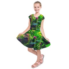 Bur Flowers Kids  Short Sleeve Dress by okhismakingart