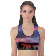 Afternoon Majesty Sports Bra by okhismakingart