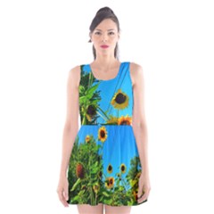 Bright Sunflowers Scoop Neck Skater Dress by okhismakingart