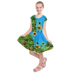 Bright Sunflowers Kids  Short Sleeve Dress by okhismakingart