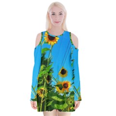 Bright Sunflowers Velvet Long Sleeve Shoulder Cutout Dress by okhismakingart