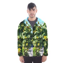 Big Sunflowers Men s Hooded Windbreaker