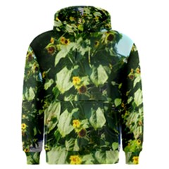 Big Sunflowers Men s Pullover Hoodie by okhismakingart