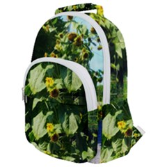 Big Sunflowers Rounded Multi Pocket Backpack