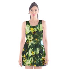 Big Sunflowers Scoop Neck Skater Dress by okhismakingart