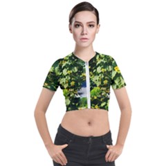 Big Sunflowers Short Sleeve Cropped Jacket