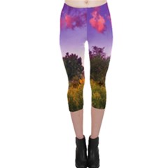 Purple Afternoon Capri Leggings  by okhismakingart