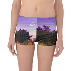 Purple Afternoon Boyleg Bikini Bottoms by okhismakingart