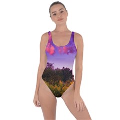 Purple Afternoon Bring Sexy Back Swimsuit by okhismakingart